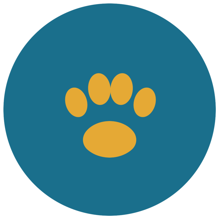 S.A.M. Logo