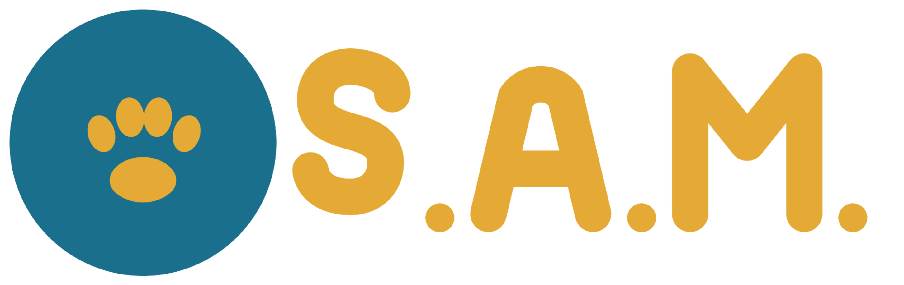 S.A.M. Logo